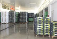 ISMEA: le difficoltà della filiera agroalimentare nel secondo mese di lockdown