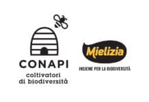 Conapi Mielizia: la Cooperativa di apicoltori più grande d’Europa espressione della qualità e sostenibilità