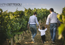 Cantine Settesoli: tradizione e ricerca, versatilità e impegno sostenibile