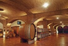 Cantine Manfredi, una storia di vino e famiglia