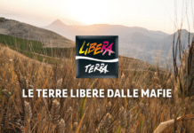 Libera Terra: a tutta mediterraneità, con pasta, pomodoro e olio biologici di alta qualità