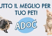 La nuova veste grafica di ADoC: tra innovazione e storia del petfood
