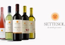 Settesoli, da vent’anni custode della viticoltura siciliana