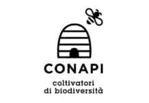 CONAPI, fatturato a 23mln di euro. Giorgio Baracani nuovo presidente