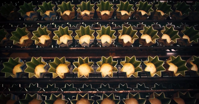 Natale 2022_Panettone e Pandoro