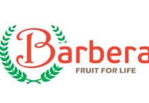 Gruppo Barbera: alta qualità e sostenibilità strategie di sviluppo aziendale