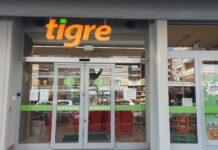 Tigre a Roma