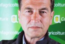 Confagricoltura: tra Bologna e Imola calo della produzione per maltempo e malattie fungine