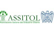 Consumi e salute: quanto vale davvero l’olio d’oliva?
