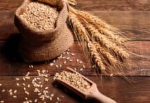 I frumenti di forza soffrono: scarsa qualità e cali produttivi incrementano i prezzi