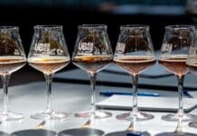 Oltre duemila prodotti per il concorso “Birra dell’anno 2024”