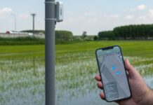 Risaie sostenibili: Riso Gallo si affida alle soluzioni digitali di xFarm Technologies per la digitalizzazione della filiera