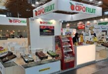 Il Gruppo Apofruit partecipa a Macfrut 2024 nel segno dell’innovazione