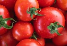 Areté – Pillole dai mercati: Pomodoro da industria e olio di oliva