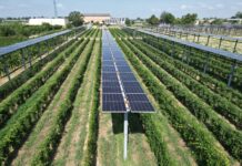 Agrivoltaico avanzato: Horta e Caviro insieme per un’agricoltura sostenibile e scalabile