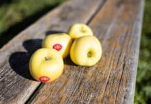 yello®: la mela premium a buccia gialla torna sui mercati internazionali
