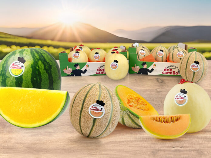 Assorted melons on a wooden surface, including a whole watermelon, cantaloupes, and sliced melons with 'Don Camillo' stickers, in a farm-country setting.