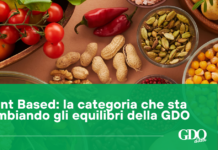 Plant Based: la categoria che sta cambiando gli equilibri della GDO Banner showing colorful plant-based foods (tomatoes, peppers, nuts, seeds) with a green overlay text: 'Plant Based: la categoria che sta cambiando gli equilibri della GDO' and GDO data logo.
