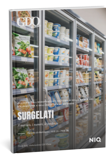 Front cover of a magazine titled SURGELATI, showing frozen food in a supermarket freezer cabinet, with GIData branding at the top and NIQ logo bottom right