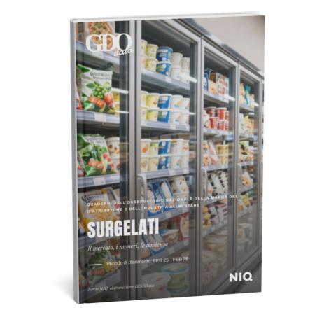Front cover of a magazine titled SURGELATI, showing frozen food in a supermarket freezer cabinet, with GIData branding at the top and NIQ logo bottom right