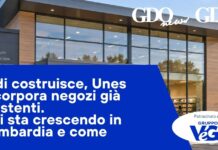 Aldi costruisce, Unes incorpora negozi già esistenti. Chi sta crescendo in Lombardia e come