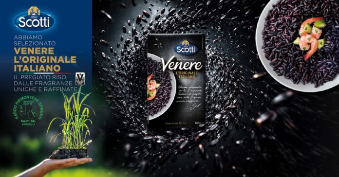 Copertina (2) Central Scotti Venere rice box with black rice grains splashing around; left shows a hand holding a seedling, right shows a bowl of black rice.