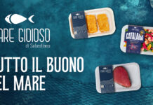 Brand banner for Mare Gioioso di Sebastiano with logo and slogan 'Tutto il buono del mare' and three seafood trays on a teal background.]','Informational: Italian seafood brand ad showing three prepared meals in white trays on a blue textured sea backdrop.