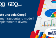 Esiste una sola Coop? I numeri raccontano modelli completamente diversi Italian promotional banner: bold headline about Coop models, blue left panel with charts and sponsor Bergader on the right.
