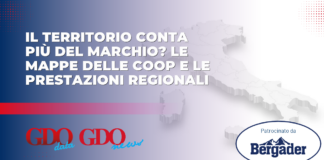 Banner in Italian announcing regional performance maps for Coop and regional services, with map of Italy and sponsor Bergader logo.