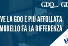 Dove la GDO è più affollata, il modello fa la differenza