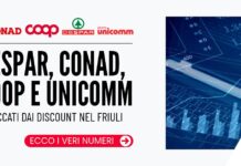 Despar, Conad, Coop e Unicomm attaccati dai discount nel Friuli: ecco i veri numeri