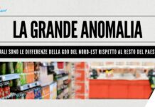 La grande anomalia: quali sono le differenze della gdo del nord-est rispetto al resto del paese?