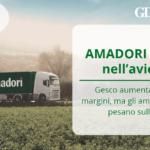 Amadori cresce nell’avicolo: Gesco aumenta ricavi e margini, ma gli ammortamenti pesano sull’EBIT