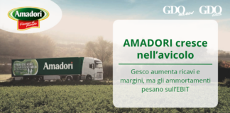 Amadori cresce nell’avicolo: Gesco aumenta ricavi e margini, ma gli ammortamenti pesano sull’EBIT