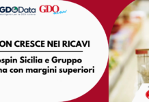 Ergon cresce nei ricavi, Eurospin Sicilia e Gruppo Arena con margini superiori