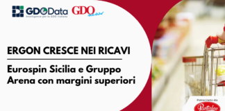 Ergon cresce nei ricavi, Eurospin Sicilia e Gruppo Arena con margini superiori