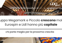 Gruppo Megamark e Piccolo crescono molto, Eurospin e Lidl hanno piĂą capitale: chi parte meglio per la prossima crescita
