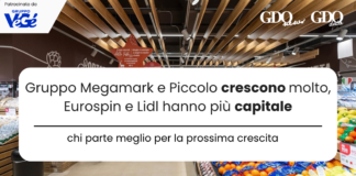 Gruppo Megamark e Piccolo crescono molto, Eurospin e Lidl hanno più capitale: chi parte meglio per la prossima crescita