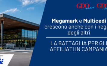 Megamark e Multicedi crescono anche con i negozi degli altri: la battaglia per gli affiliati in Campania
