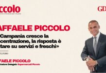 Raffaele Piccolo: «In Campania cresce la concentrazione, la risposta è puntare su servizi e freschi»