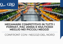 Megamark competitivo in tutti i format, PAC 2000A e Multicedi meglio nei piccoli negozi: confront con i negozi del nord