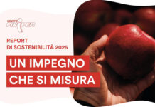 Finiper Canova presenta il secondo Report di Sostenibilità
