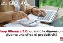 Coop Alleanza 3.0, quando la dimensione diventa una sfida di produttività Person typing on a laptop while using a calculator on a desk; logos 'Top Sales', 'GDO data', 'GDO news' appear in the top-left.